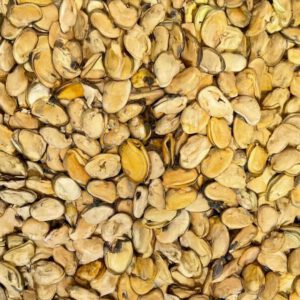 Polpa di Cozze cilene