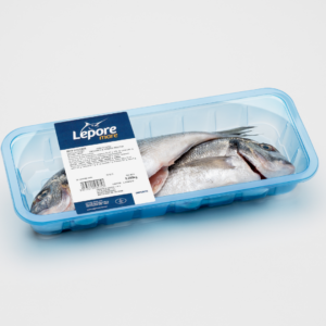 Orata fresca eviscerata