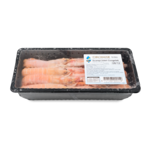 Scampi (Nephrops norvegicus)