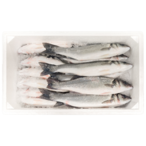 Product Sea Bass (Dicentrarchus labrax)