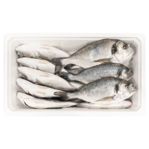 Orata (Sparus aurata)