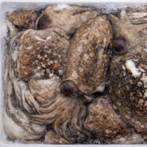 Seppia sporca surgelata